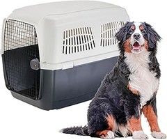 Pros y contras de utilizar transportines rígidos para perros