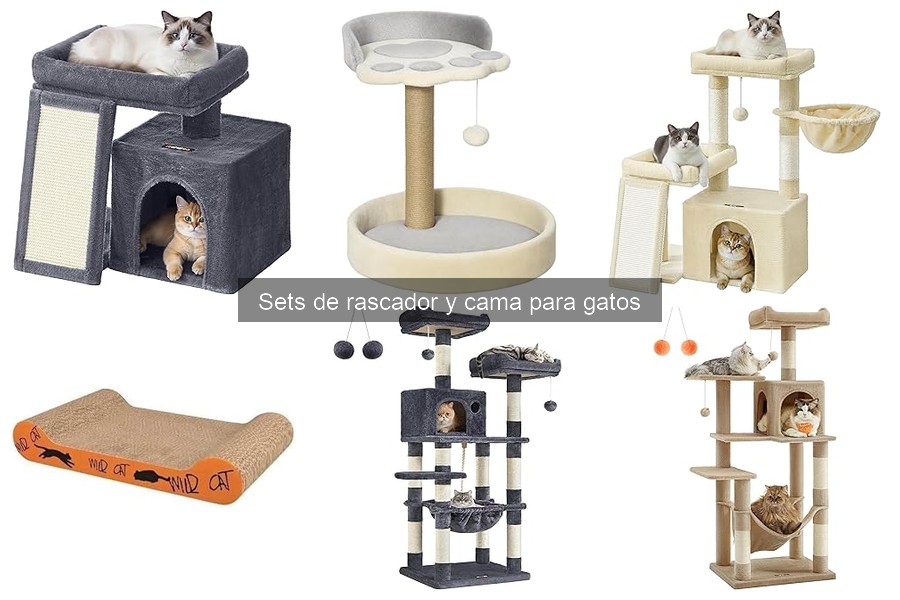 ¿A qué edad debería mi gato tener un rascador y cama?