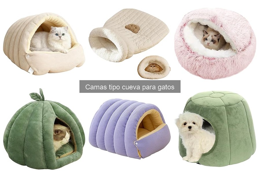 ¿A tu gato le gusta la cama tipo cueva? Descúbrelo aquí