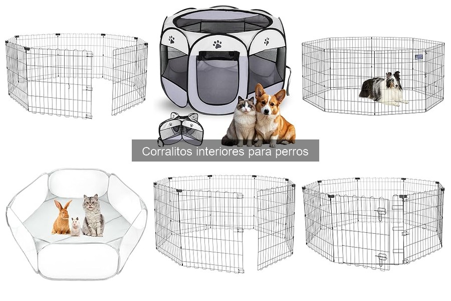 Accesorios esenciales para corralitos interiores de perros