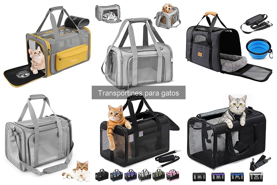Accesorios esenciales para llevar en un transportín de gatos