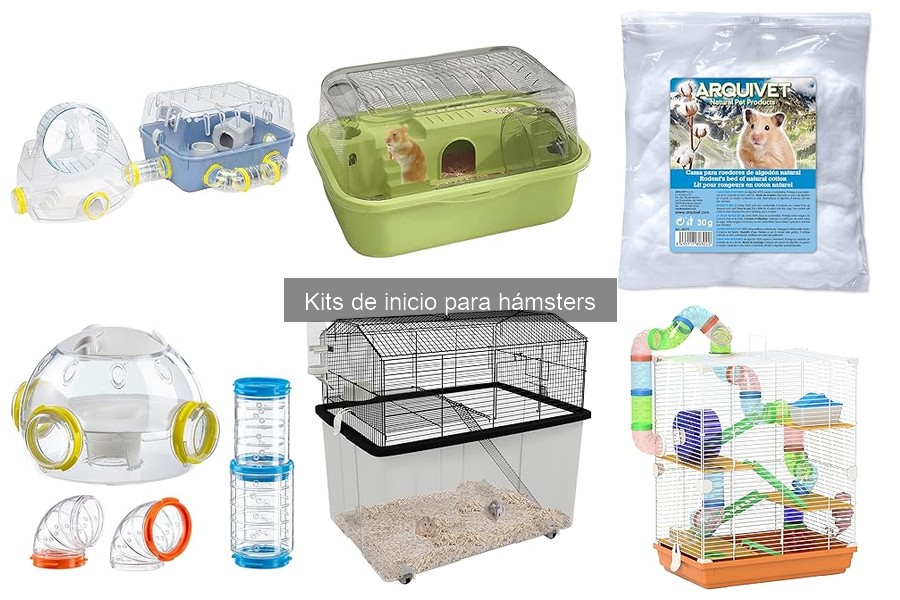Accesorios Esenciales que Falta en Kits de Hámsters