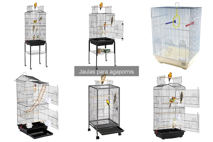 Accesorios imprescindibles para jaulas de agapornis