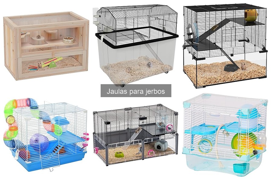 Accesorios imprescindibles para jaulas de jerbos