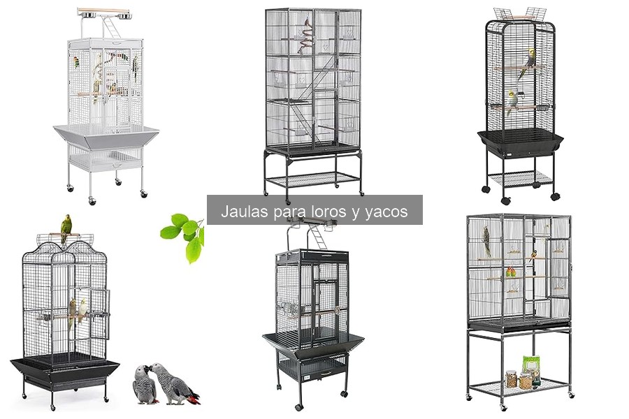 Accesorios Imprescindibles para Jaulas de Loros