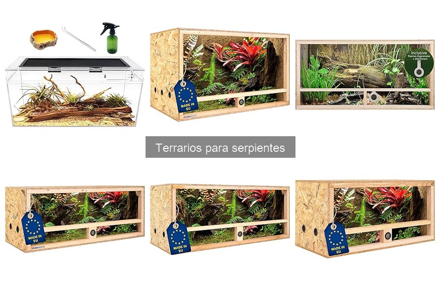 Accesorios imprescindibles para terrarios de serpientes