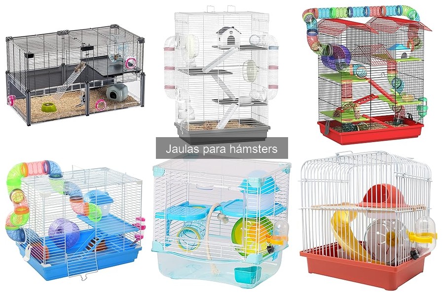 Accesorios indispensables para la jaula de hámster