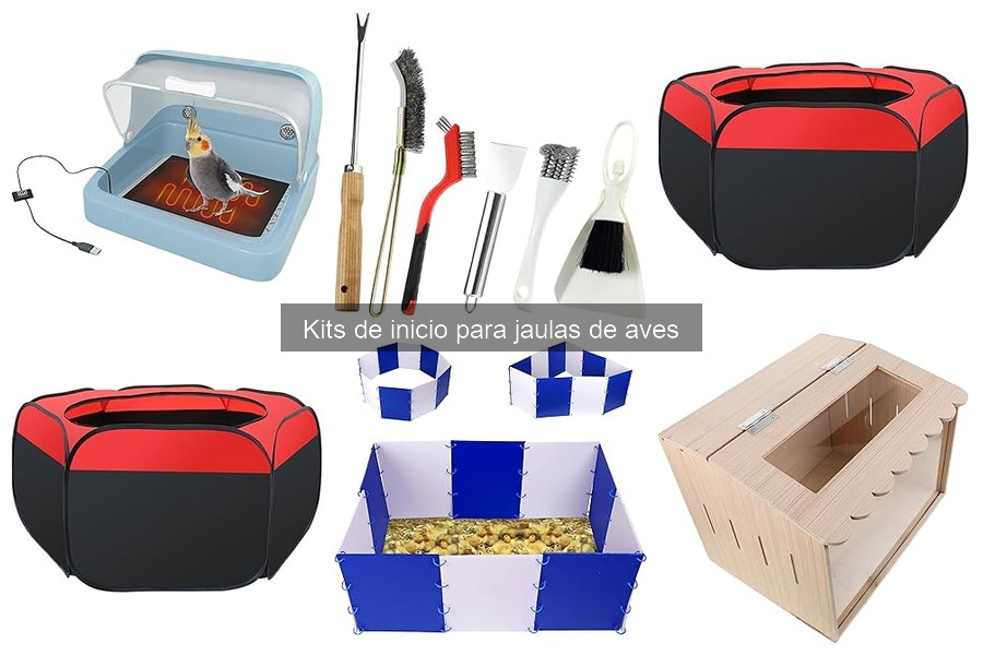 Adaptaciones de Kits de Inicio para Aves según la Estación