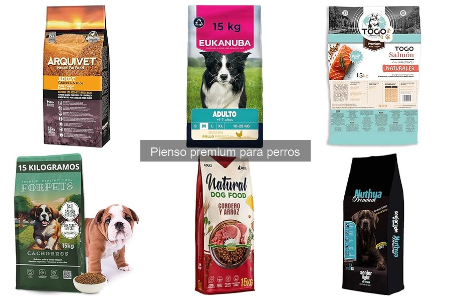Alergias alimentarias en perros: ¿Cómo ayuda el pienso premium?