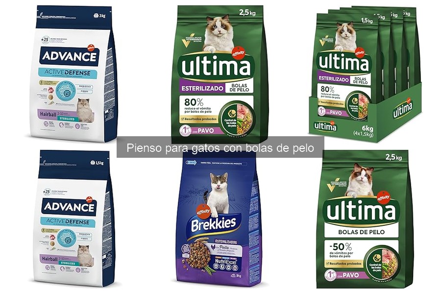 Alimentación adecuada: pienso para gatos con bolas de pelo