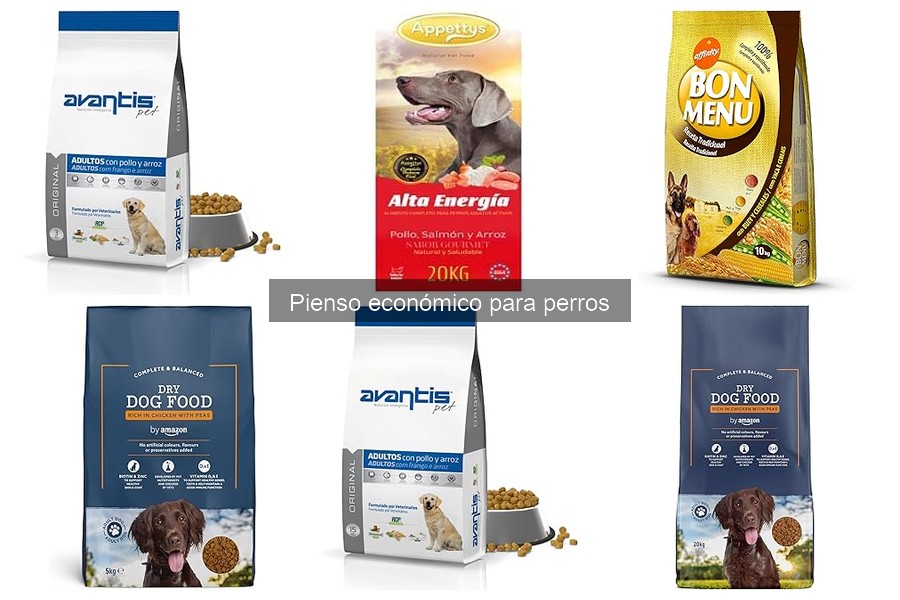 Alimentos Caseros: Alternativas al Pienso Económico para Perros