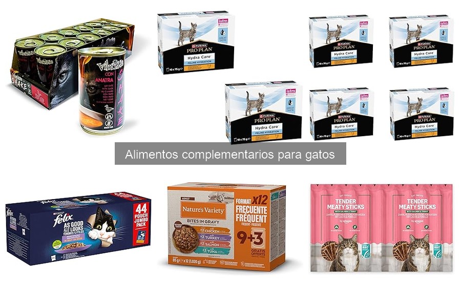Alimentos complementarios para gatos: Problemas digestivos