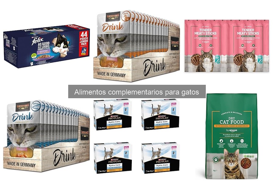Alimentos complementarios para gatos y su impacto en la salud