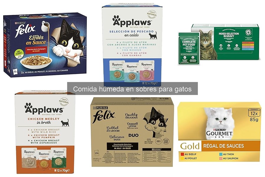 Almacenamiento de comida húmeda en sobres para gatos: Consejos