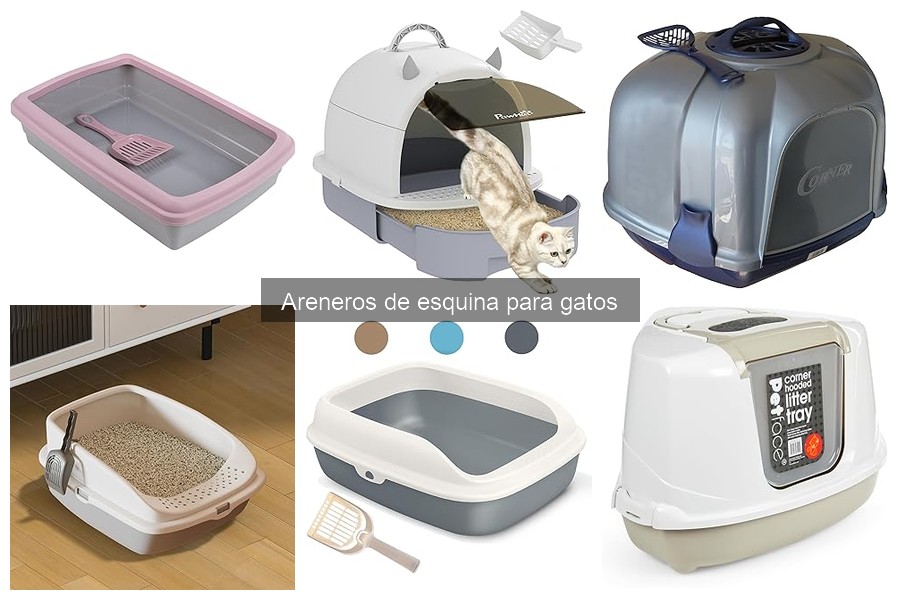 Alternativas a areneros de esquina para gatos: opciones efectivas