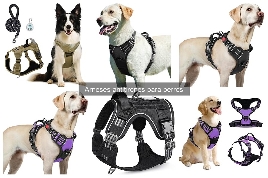 Alternativas a arneses antitirones para perros