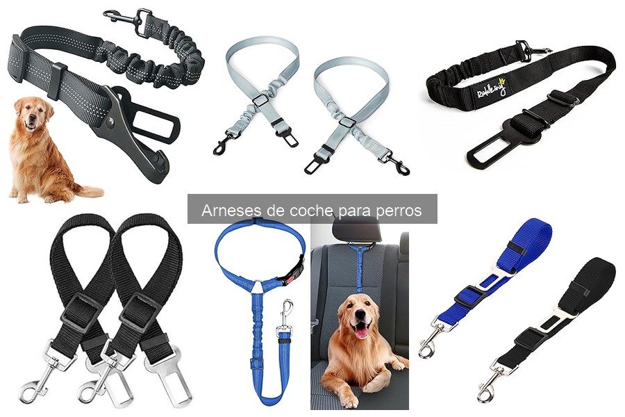 Alternativas a arneses de coche para perros: ¡Descubre opciones seguras!