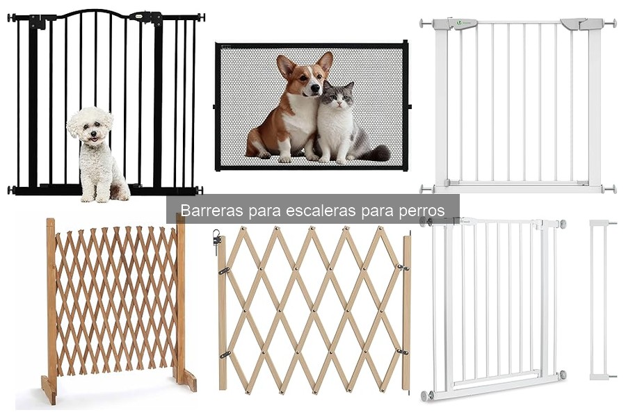 Alternativas a barreras para escaleras para perros