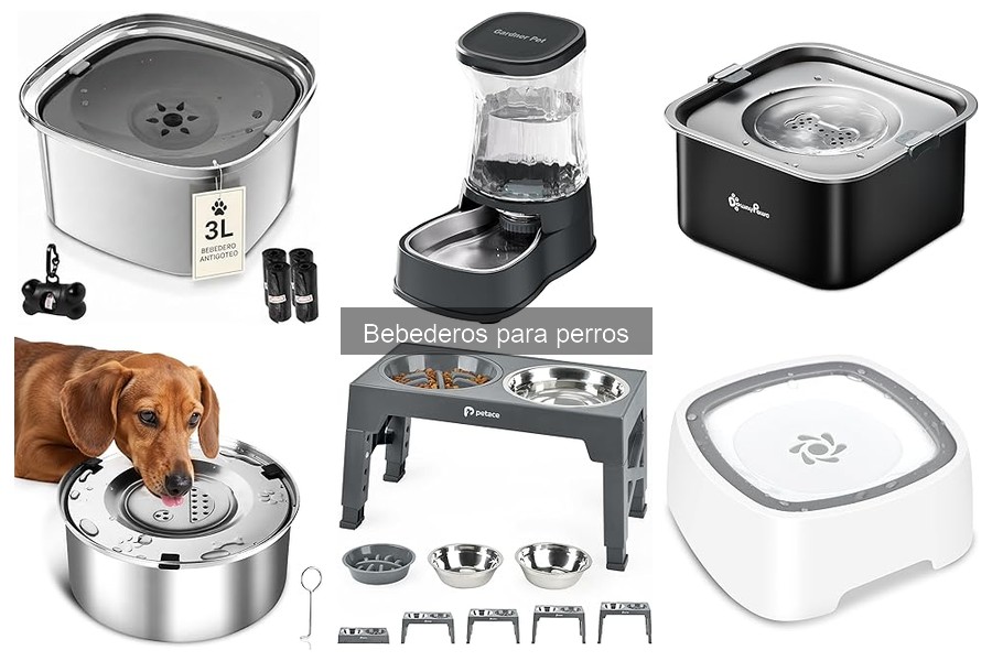 Alternativas a Bebederos Tradicionales para Perros