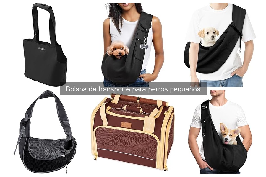 Alternativas a bolsos de transporte para perros pequeños