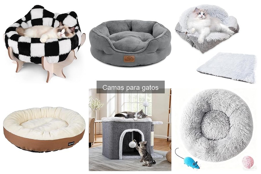 Alternativas a camas para gatos en espacios pequeños
