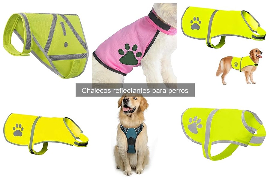 Alternativas a chalecos reflectantes para perros