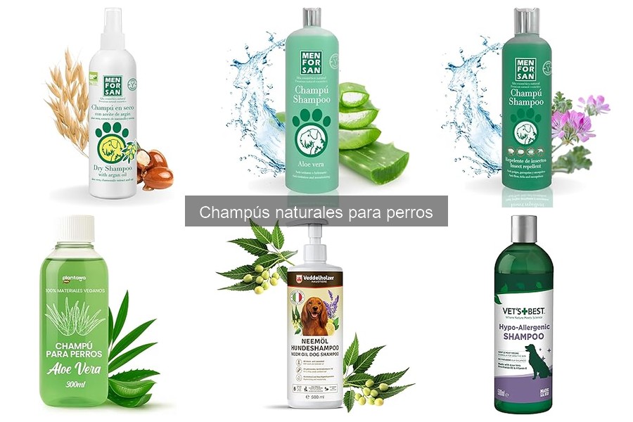 Alternativas a Champús Naturales para Perros: Opciones Efectivas