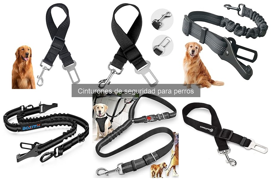 Alternativas a cinturones de seguridad para perros
