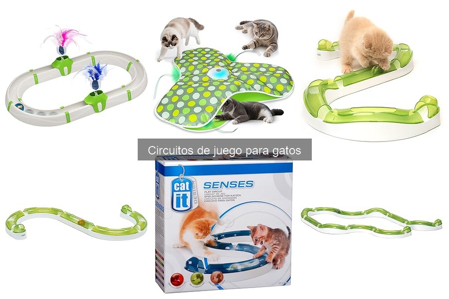 Alternativas a Circuitos de Juego para Gatos - Mejores Opciones