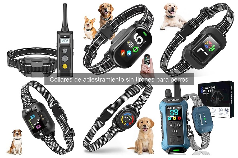 Alternativas a collares de adiestramiento sin tirones