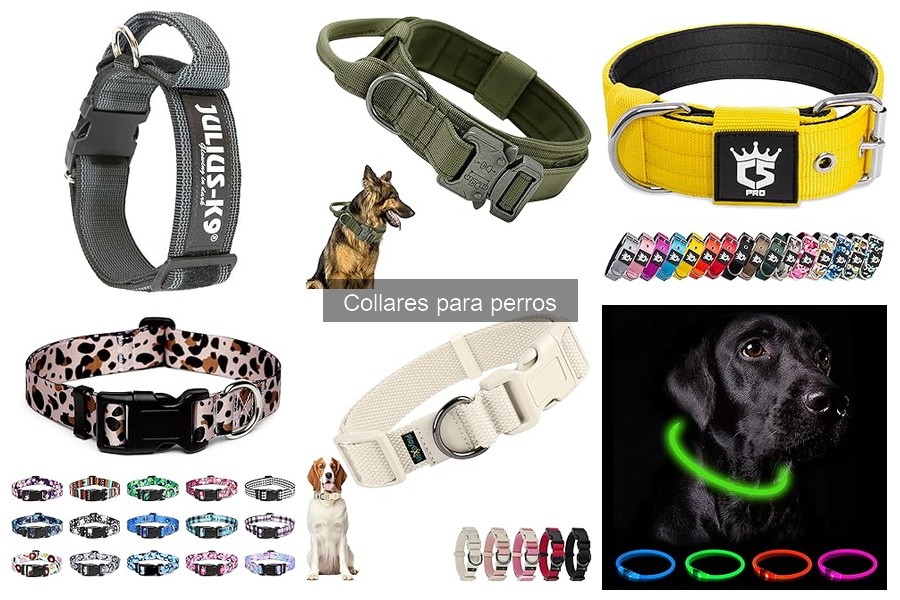 Alternativas a collares tradicionales para perros