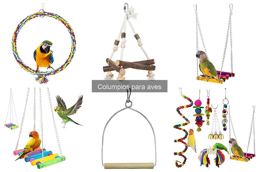 Alternativas a Columpios para Aves: Juguetes Innovadores