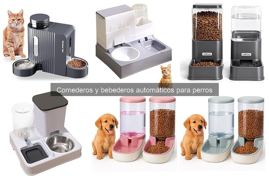 Alternativas a Comederos Automáticos para Perros