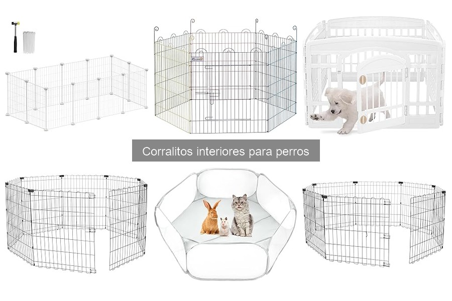 Alternativas a corralitos interiores para perros: opciones útiles