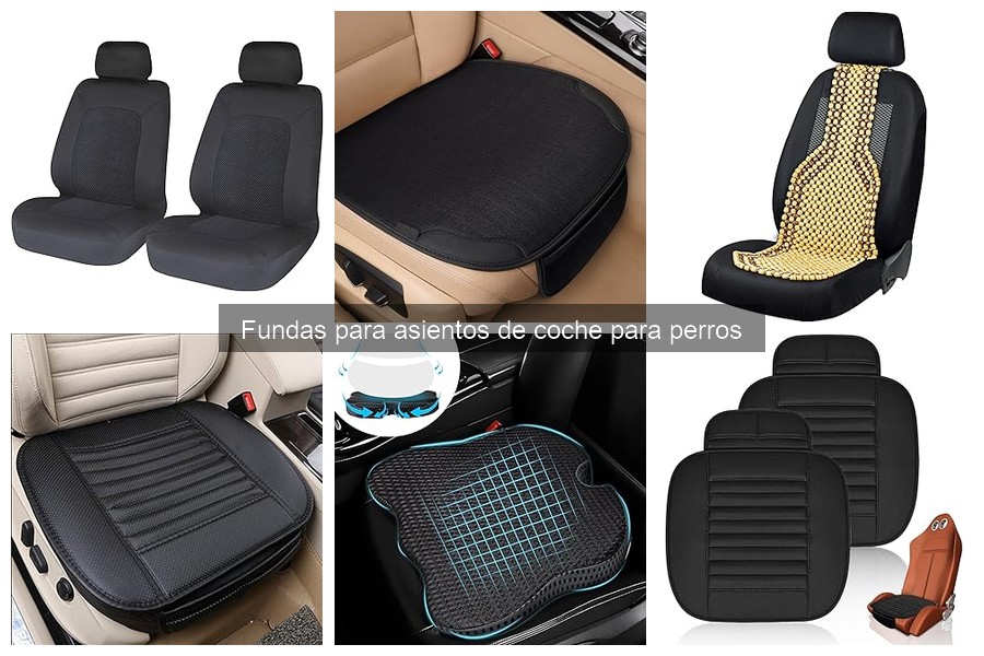 Alternativas a fundas para asientos de coche para perros