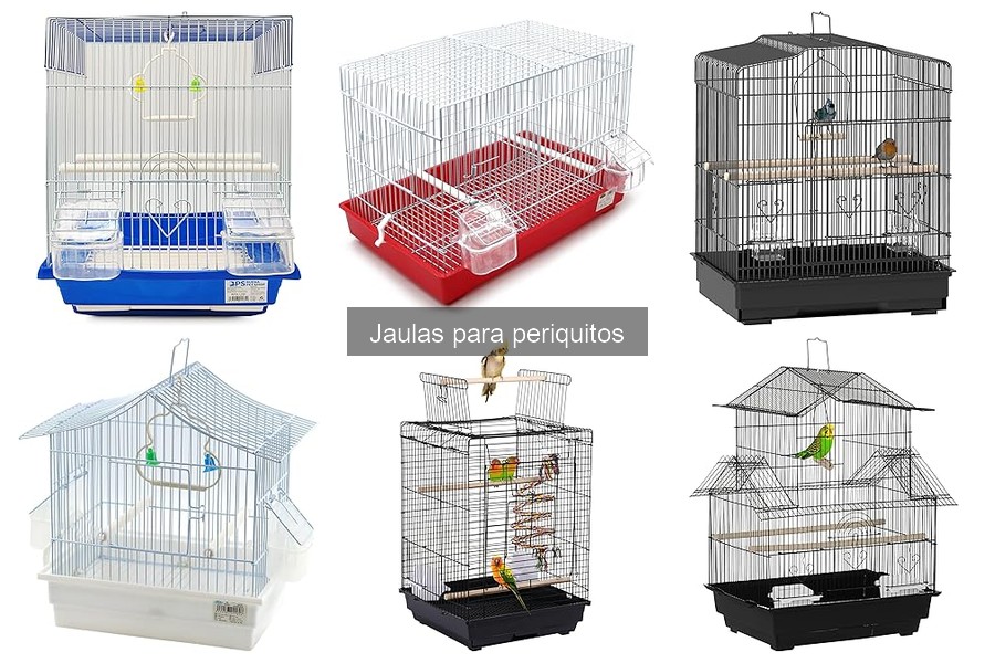 Alternativas a Jaulas para Periquitos: Opciones Viables