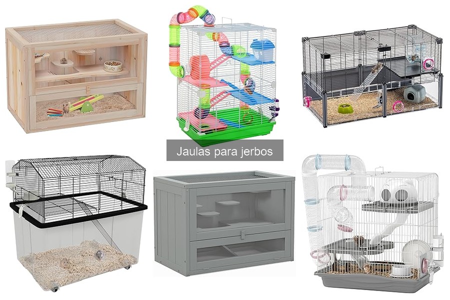 Alternativas a jaulas tradicionales para jerbos: soluciones innovadoras