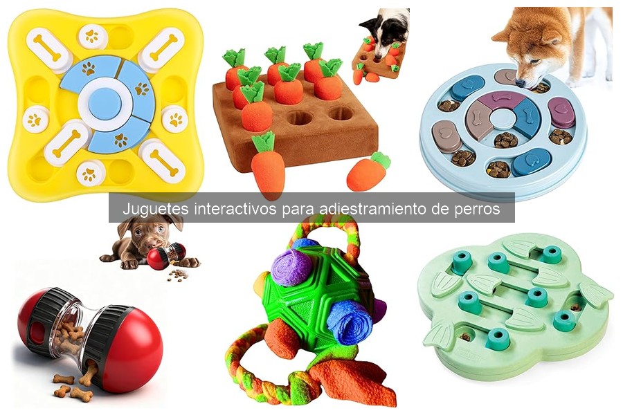Alternativas a juguetes interactivos para adiestramiento de perros