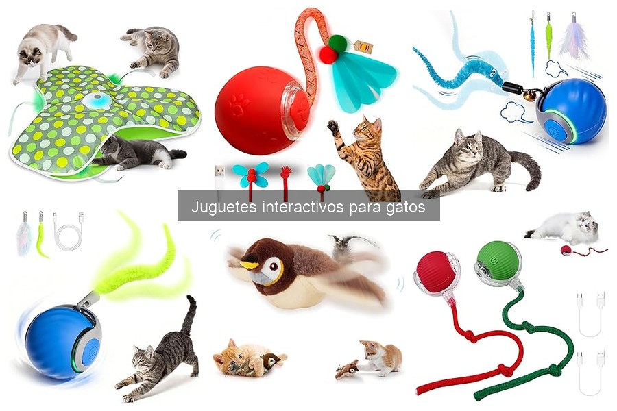 Alternativas a Juguetes Interactivos para Gatos que No los Usan