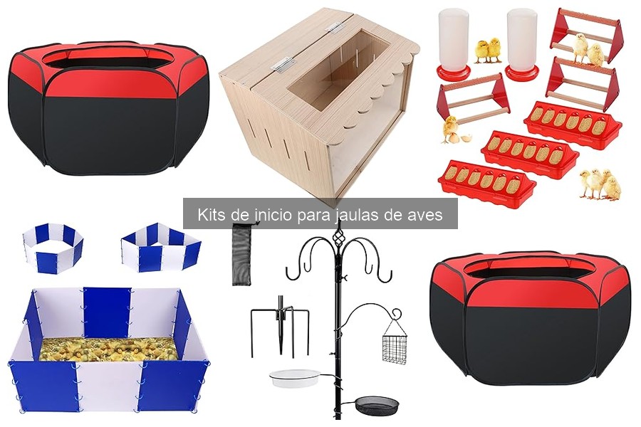 Alternativas a kits de inicio para jaulas de aves: opciones personalizadas