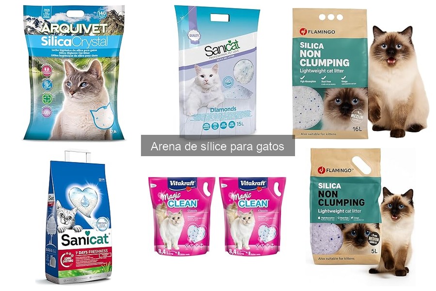 Alternativas a la arena de sílice para gatos: opciones efectivas
