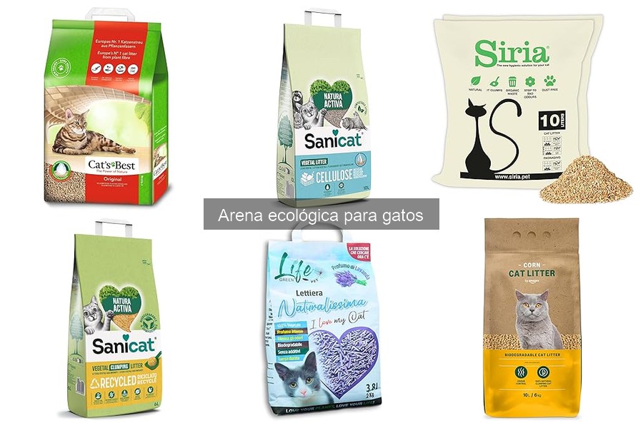 Alternativas a la arena ecológica para gatos: opciones efectivas