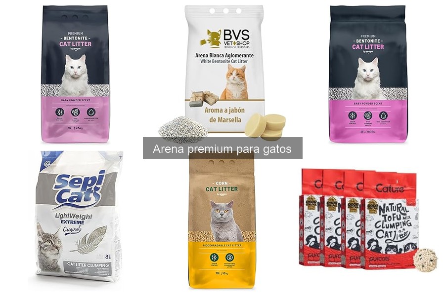 Alternativas a la Arena Premium para Gatos: Opciones Ecológicas