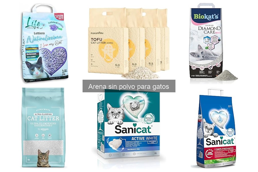 Alternativas a la arena sin polvo para gatos: ¿Cuál elegir?