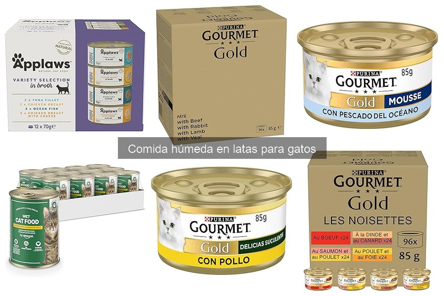 Alternativas a la Comida Húmeda en Latas para Gatos
