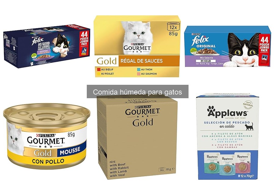 Alternativas a la Comida Húmeda para Gatos: Mejores Opciones