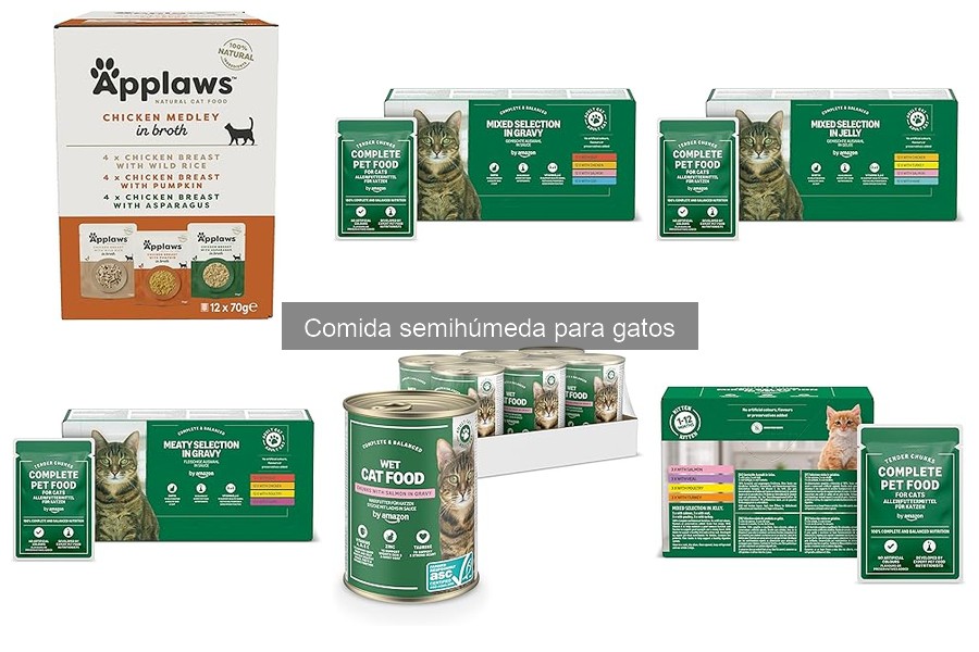 Alternativas a la comida semihúmeda para gatos con salud especial