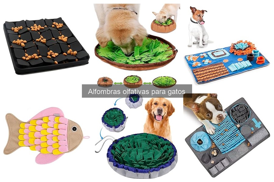 Alternativas a las alfombras olfativas para gatos