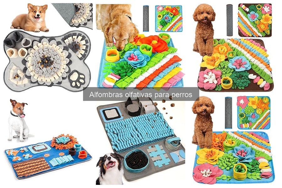 Alternativas a las Alfombras Olfativas para Perros