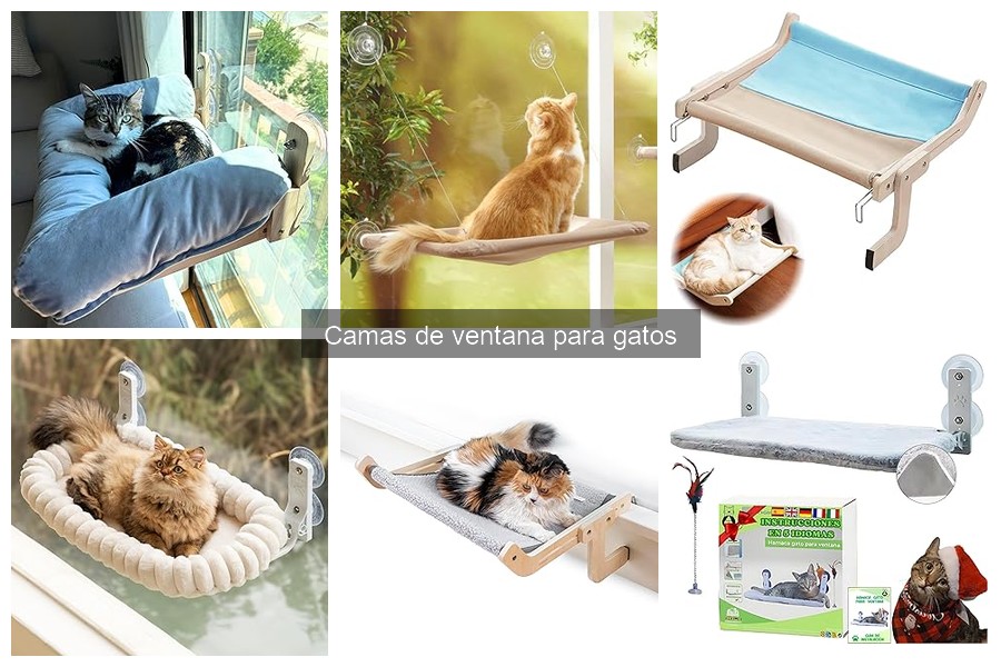Alternativas a las camas de ventana para gatos: opciones cómodas
